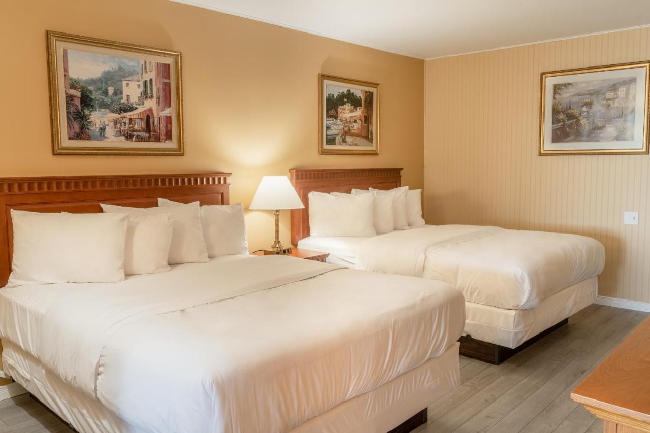 Hotel Motel La Vigie Matane Ngoại thất bức ảnh